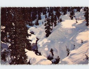 Postcard View from the foot bridge, Alpental, Snoqualmie Pass, Washington