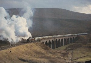 Duchess Of Hamilton Train at Dandry Mire Vaiduct Postcard