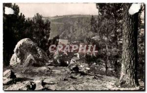 Old Postcard Saint Leonard Des Bois town of view through the pines