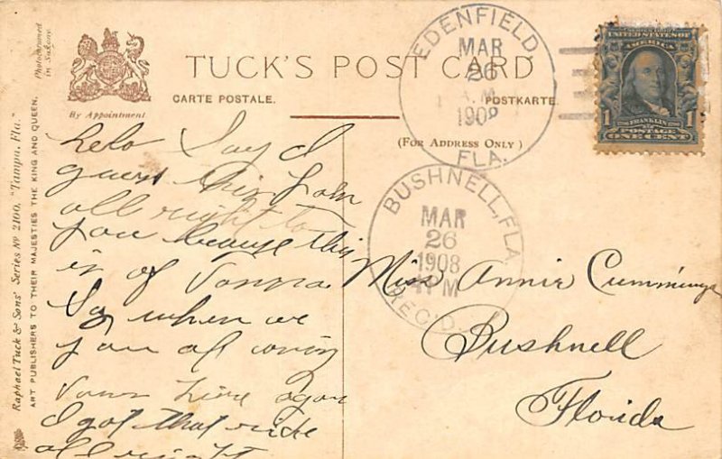 Beach Scene Tampa FL