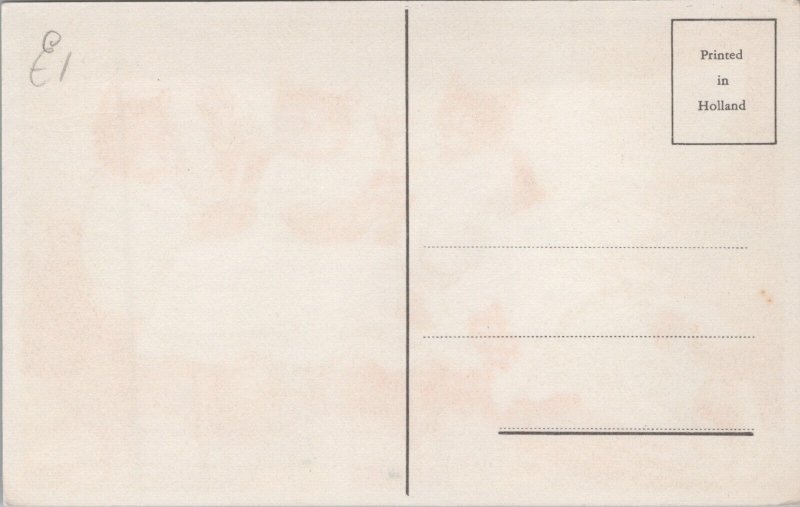 Anthropomorphic Cats Eating Chicking Comic Vintage Postcard C080