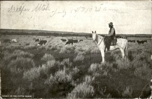 Helper Utah Sunset Cattle Range Horseback Cowboy c1907 Vintage Postcard