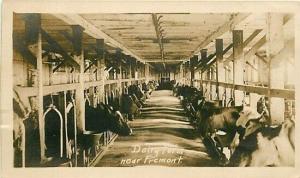 NE, Fremont, Nebraska, Dairy Farm, Cows in stall, RPPC
