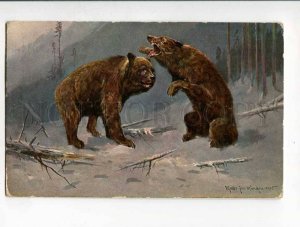 285626 HUNT Winter BEAR by MULLER Mueller Vintage postcard