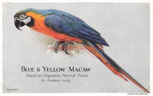 Advertising, Blue & Yellow Macaw, Feed on Capern's Parrot Food, Packets Only