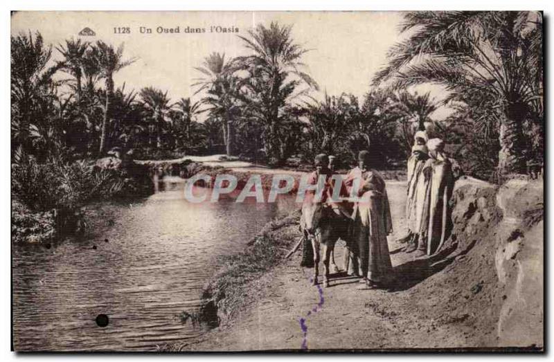 Old Postcard North Africa A Oued in Oasis Donkey Donkey