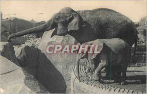 Postcard Modern Zoo, Bois de Vincennes Paris National Museum of Natural Histo...