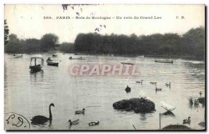 Old Postcard Paris Bois de Boulogne A Corner of the Great Lake