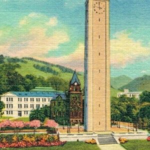 USA The Campanile University California Berkeley California Linen Postcard 07.66