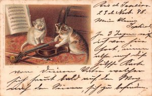 Brazil Rio de Janeiro 1898 cats playing violin instrument vintage postcard