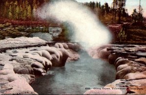 Yellowstone National Park Oblong Geyer