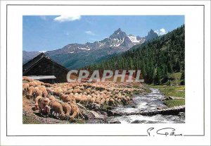 Postcard Modern Glance Mountain Sheep