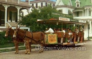 Greetings From  - Cape May, New Jersey NJ  