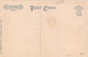 Windom Minnesota~School House~Small Trees along Pathways~c1910 Postcard