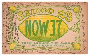 Early 1900s 23 Skidoo Now 37 Lemon Postcard