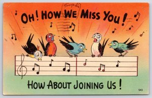 1947 Birds Singing Loudly How About Joining Us! Comic Posted Postcard