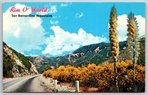 Greetings From Rim O' World San Bernardino Mountains CA UNP Chrome Postcard A13