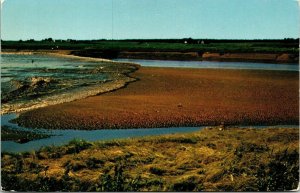 Tidal Bore Truro Nova Scotia Postcard Mirro VTG UNP Vintage Unused 