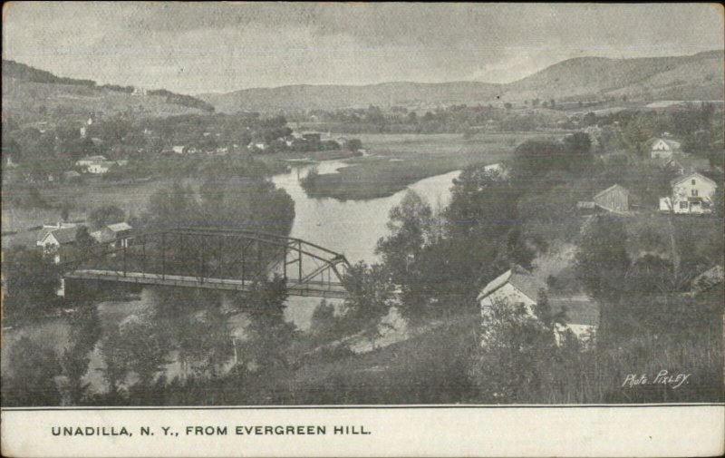 Unadilla NY From Evergreen Hill c1905 Postcard