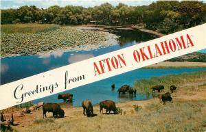 OK, Oklahoma, Lost Lake, Wichita Mountains, Buffalo Herd, Baxtone