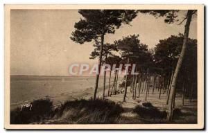 Old Postcard Arcachon Moulleau The Abatilles Park