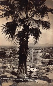 NOGALES SONORO MEXICO~PANORAMICA~1950s REAL PHOTO POSTCARD