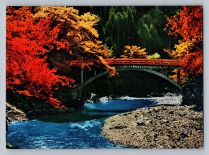 Japan The maple trees of takao kyoto Bridge