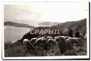 Modern Postcard La Douce France Cote D & # 39Azur Pasture on the large cornic...