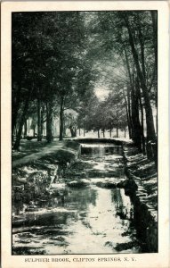 Vtg 1900s Sulphur Brook Clifton Springs New York NY Postcard