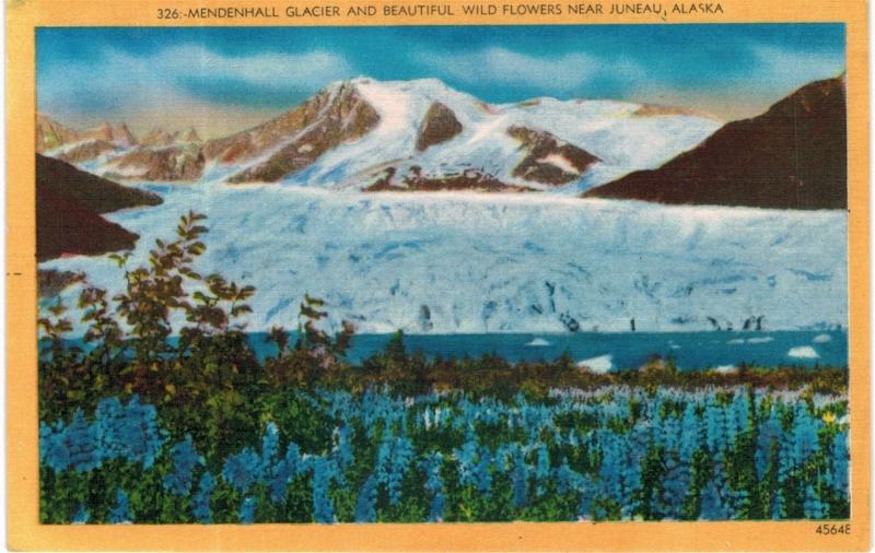 Juneau AK Mendenhall Glacier Linen MINT 1950s 