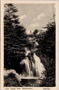 Topsail Falls Newfoundland NL NFLD Unused PhotoTex Postcard H45