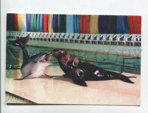 471367 RUSSIA 1999 year dolphinarium Dolphin seal with a calendar for 2 years