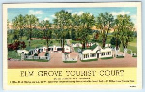 CLINTON, Tennessee TN ~ Roadside ELM GROVE TOURIST COURT Motel c1930s Postcard 