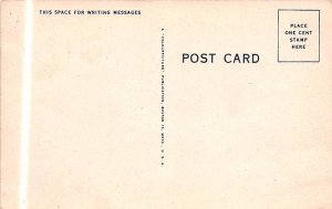 Cream of Everything Cow Postcard