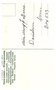 Romance under a Giant Mushroom