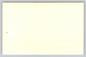 RPPC  Lake Konigssee  Bavaria  Germany  Postcard