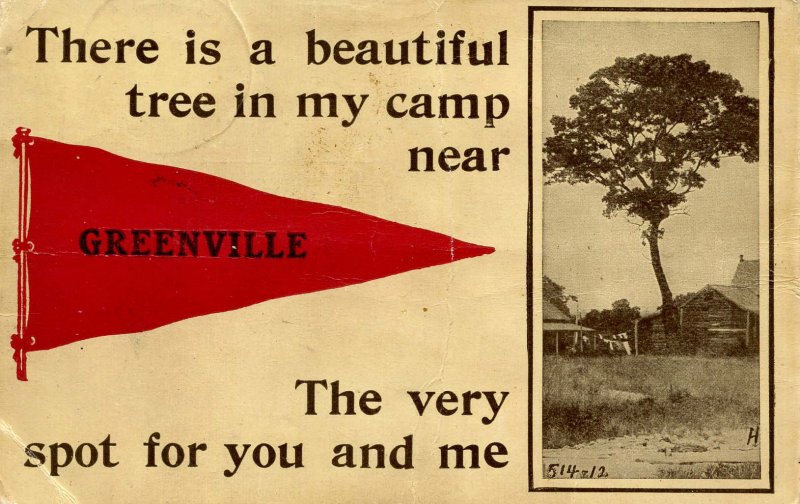 ME - Greenville. There's a beautiful tree in my camp…     (creases)