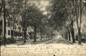 Rutherford NJ Chestnut Street Scene c1910 Old Postcard