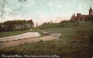 Vintage Postcard 1907 Fitton Avenue Holy Cross College Worcester Massachusetts