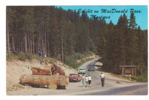 Mechanical Exhibit Bear Lumberjack Dog MacDonald Pass Montana Postcard Old Cars