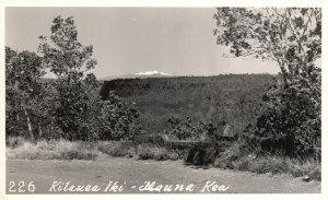 Vintage Postcard Real Photo Kilauea Iki Mauna Kea Hawaii RPPC