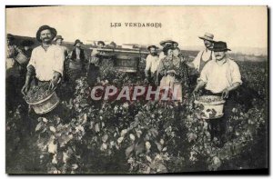 Postcard Old Wine Harvest TOP