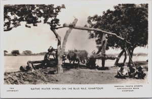 Sudan Native Water Wheel On The Blue Nile Khartoum Vintage RPPC C135