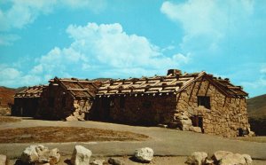 Vintage Postcard Fall River Store & Alpine Exhibit on Trail Ridge Road Colorado