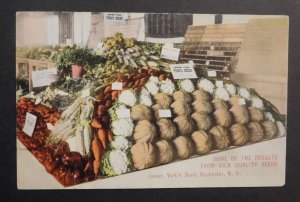 Mint USA Advertisement Postcard James Vick Sons Quality Seeds Harvest Farm