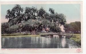 NEW ORLEANS LA Washington Oak Audbon Park Postcard