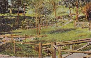 Washington Seattle Madrona Park