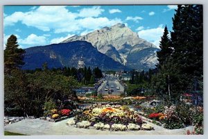 Alpine Gardens, Banff Avenue & Cascade Mountain, Canadian Rockies AB Postcard