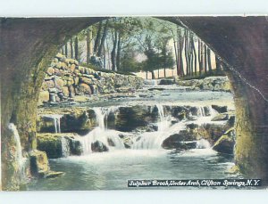 Divided-back NATURE SCENE Adirondacks - Clifton Springs New York NY AD8142