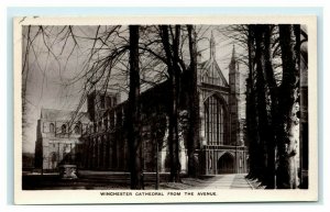RPPC Winchester Cathedral from the Avenue Hampshire England UK Postcard